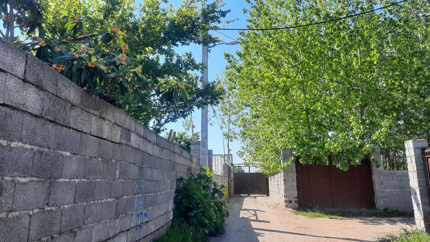 تصویر املاک 105826