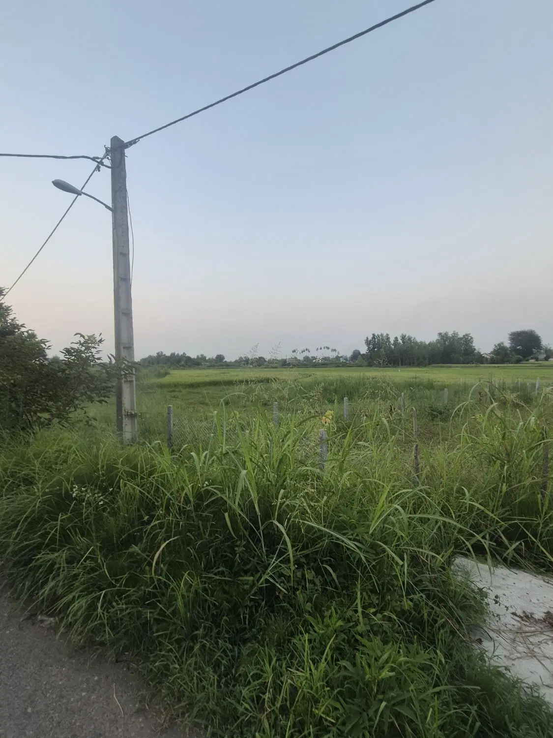 تصویر املاک 114787