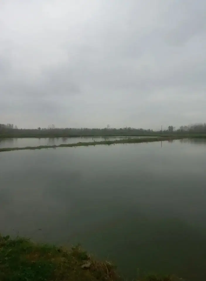 تصویر املاک 100077