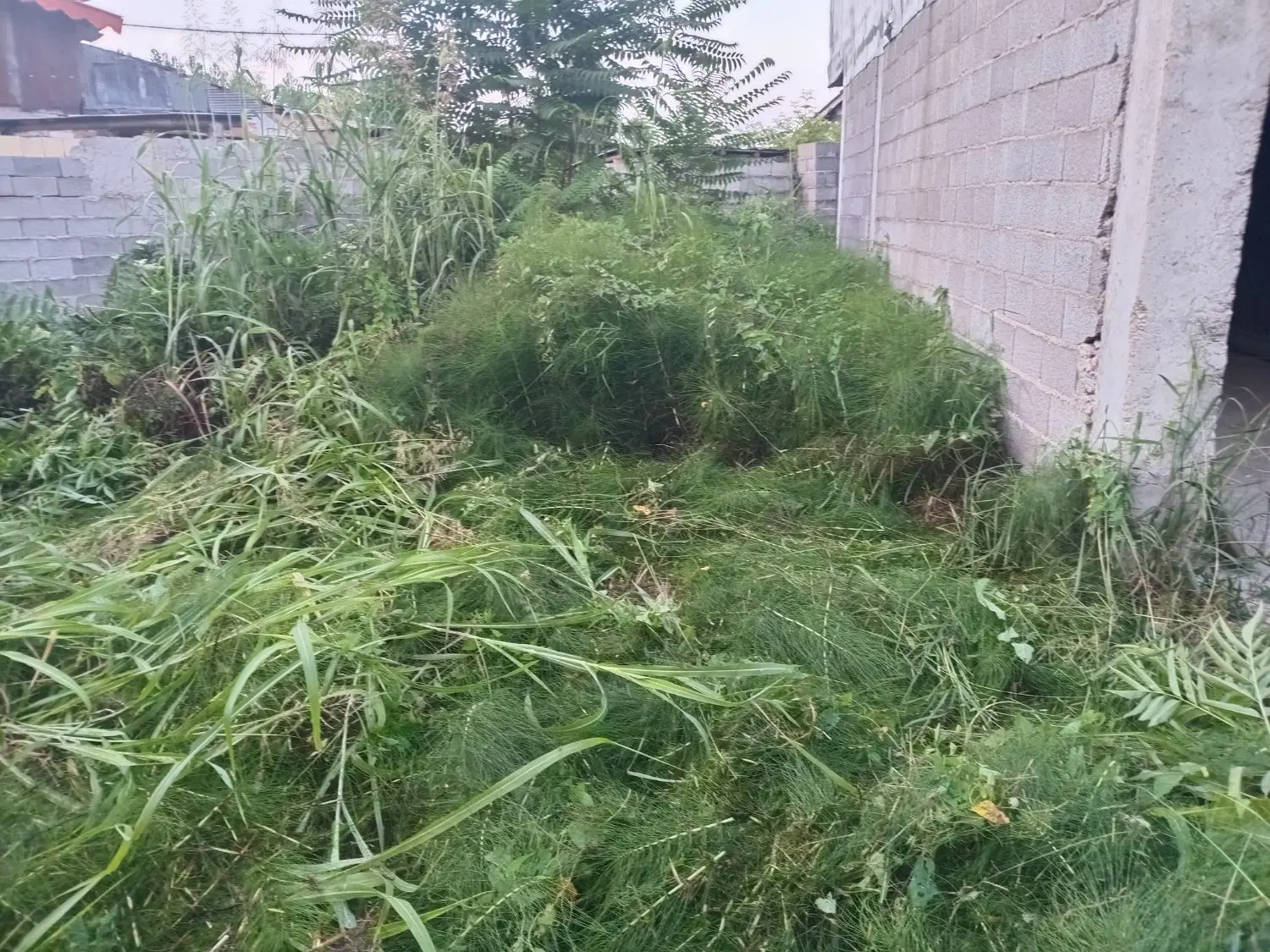 تصویر املاک 81889