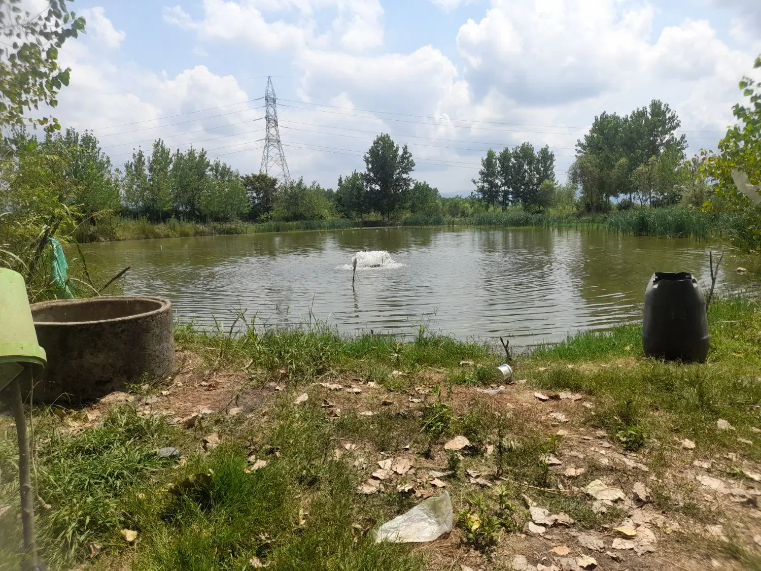 تصویر املاک 91194