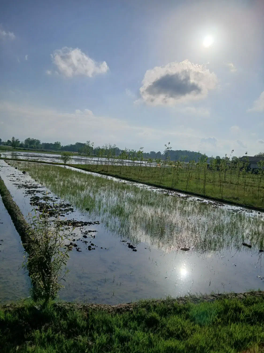 تصویر املاک 40720