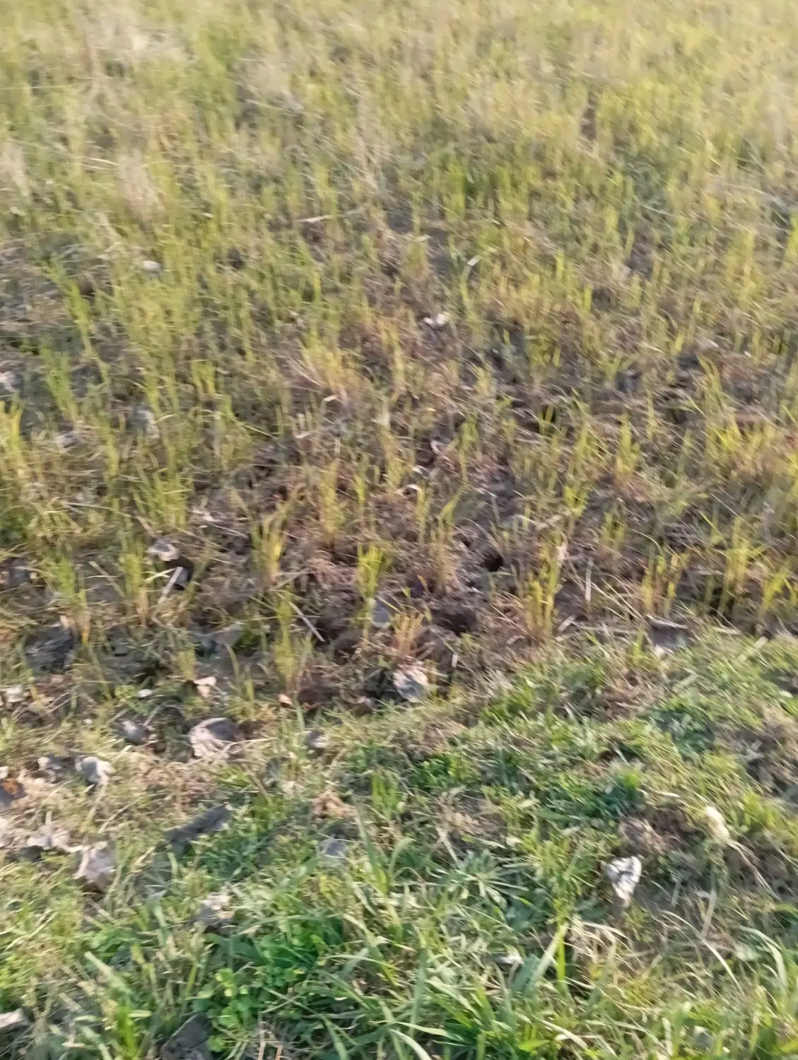 تصویر املاک 125816