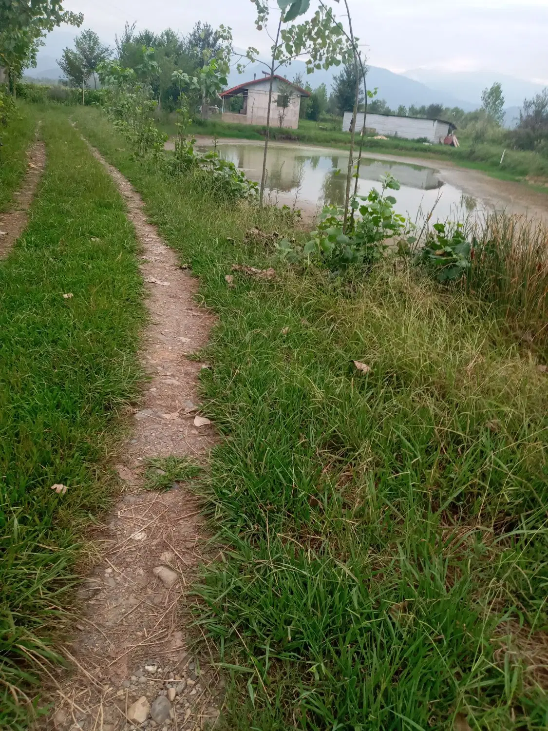 تصویر املاک 112515