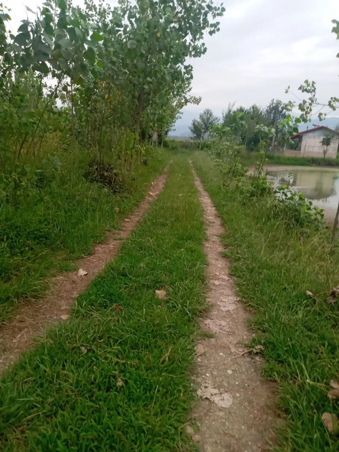 تصویر املاک 112517