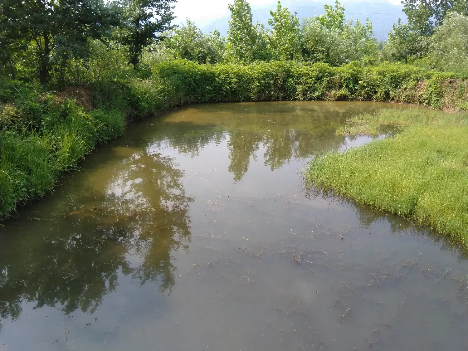 تصویر املاک 121827