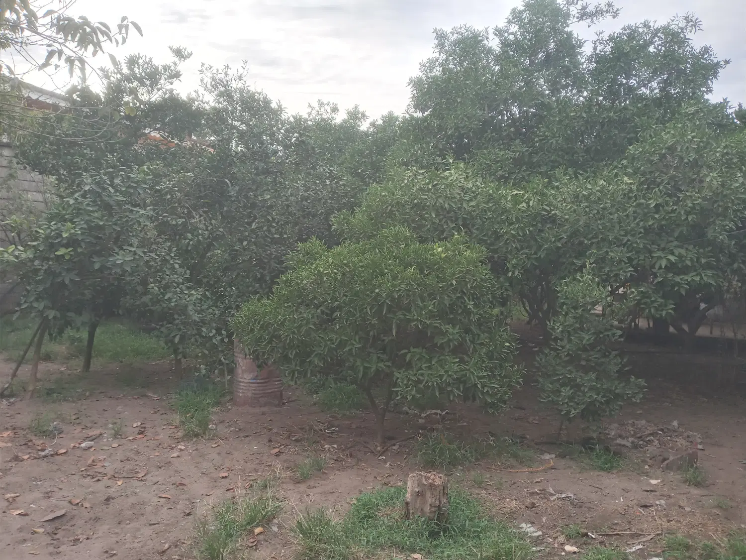 تصویر املاک 107689