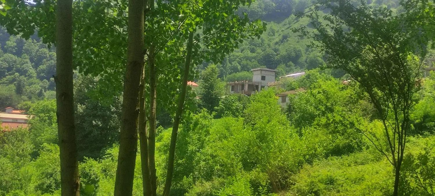 تصویر املاک 86911