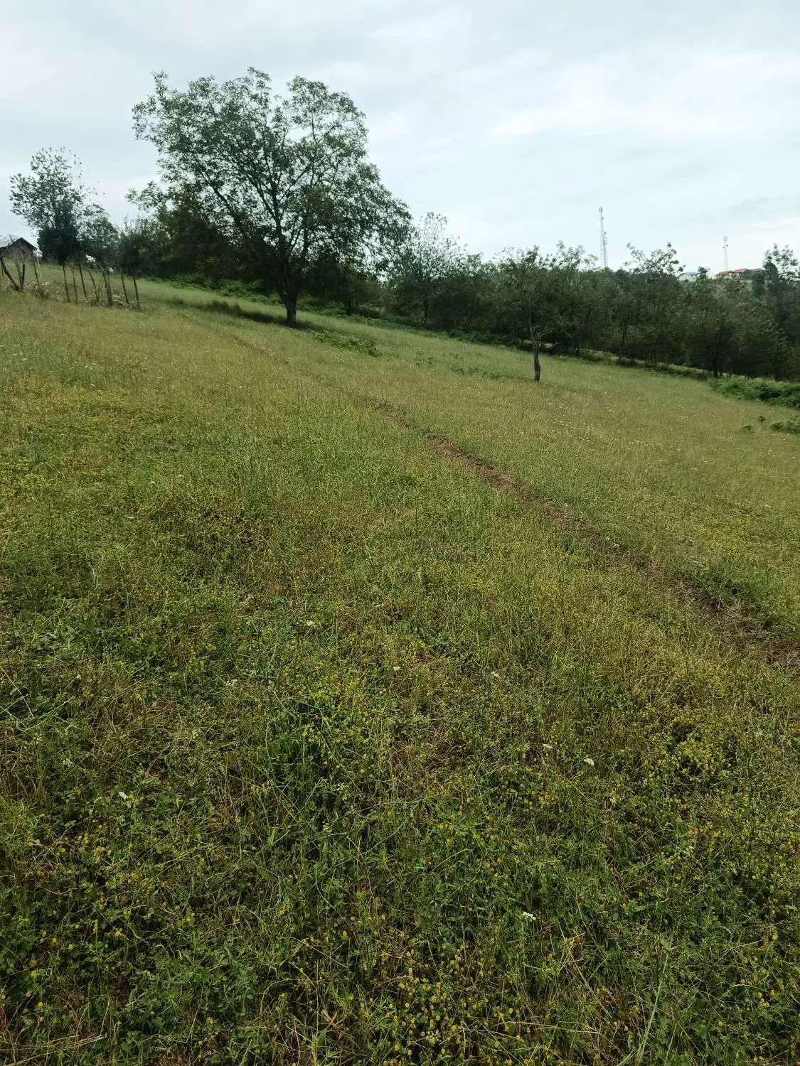 تصویر املاک 79468