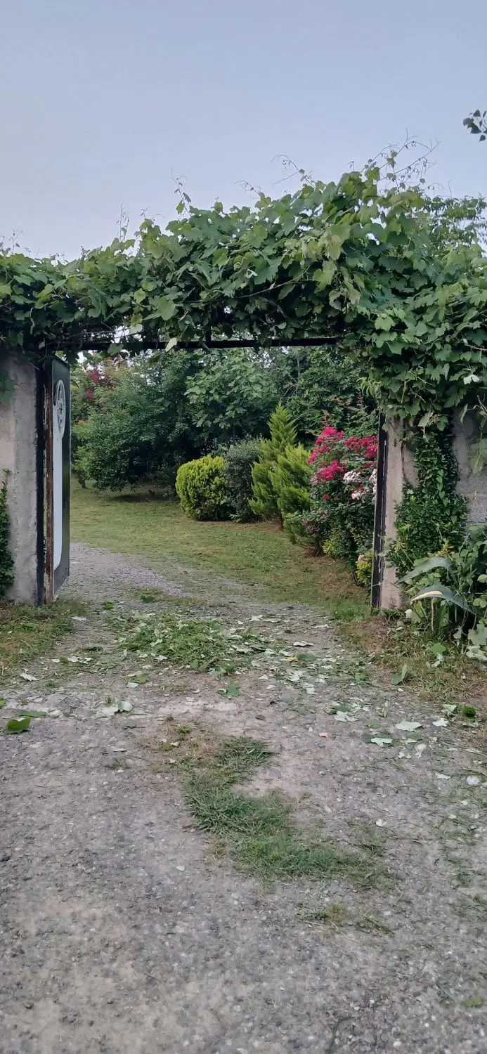 تصویر املاک 65028