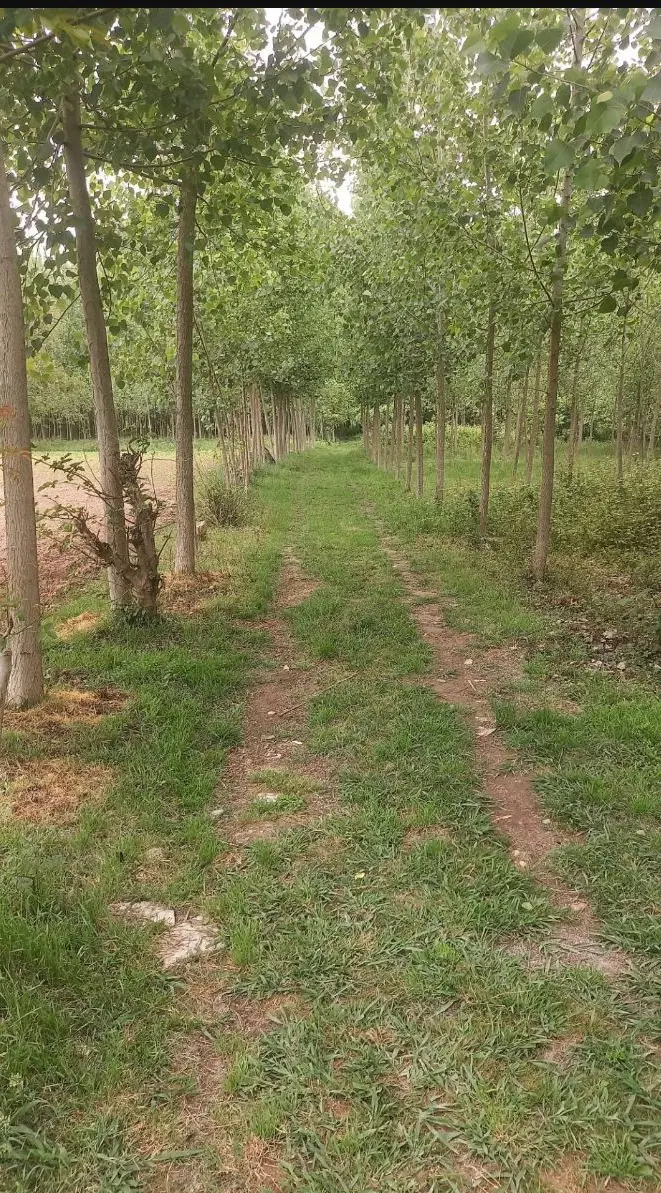 تصویر املاک 65712