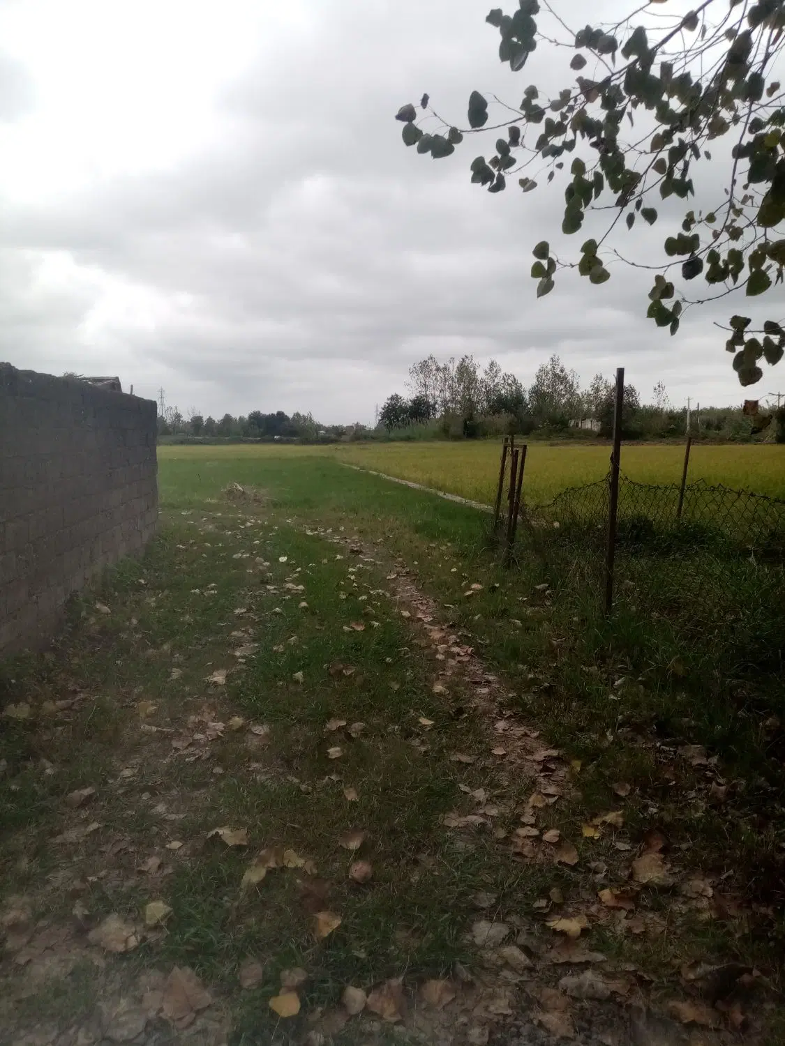 تصویر املاک 141843
