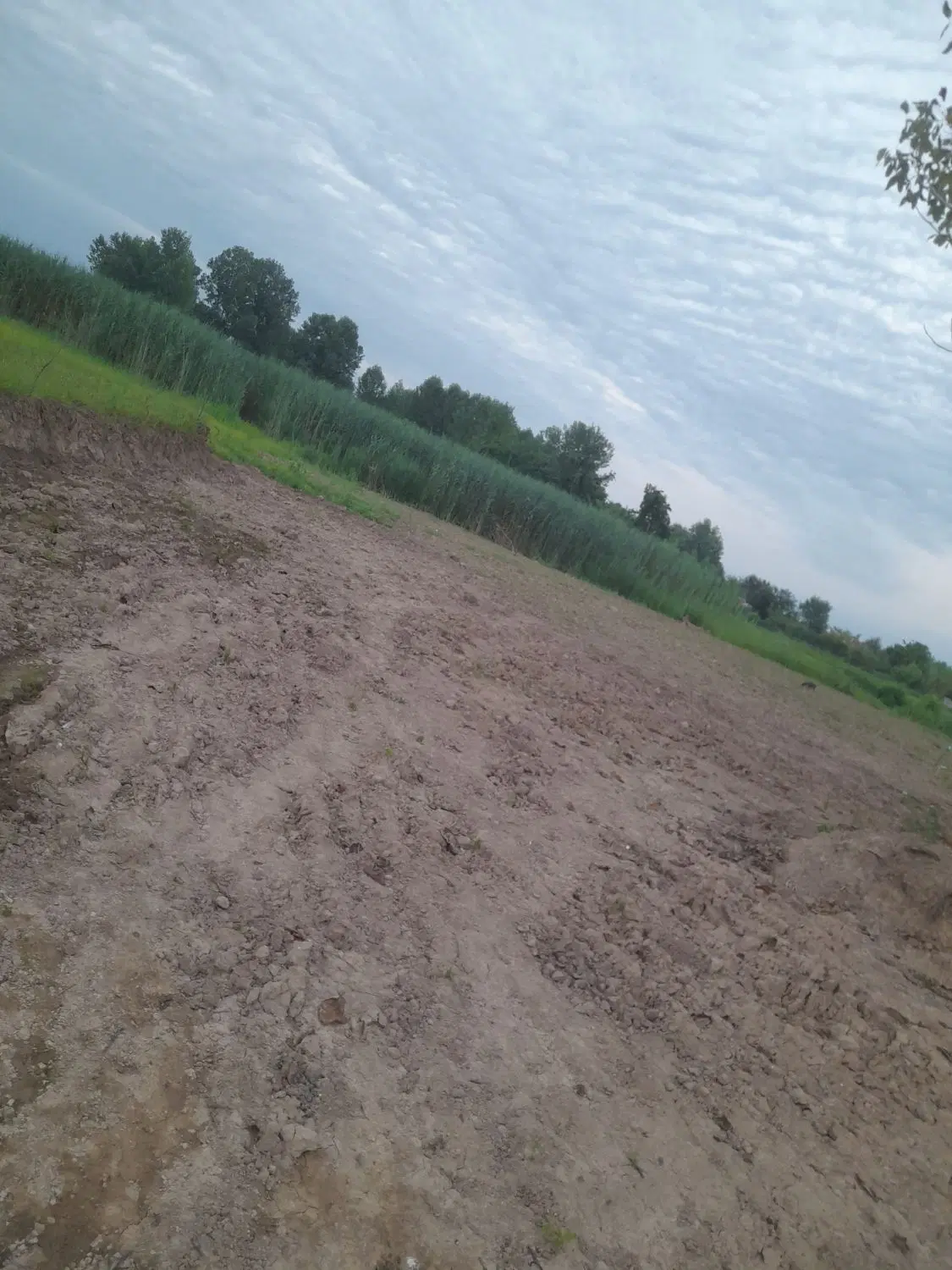 تصویر املاک 80564