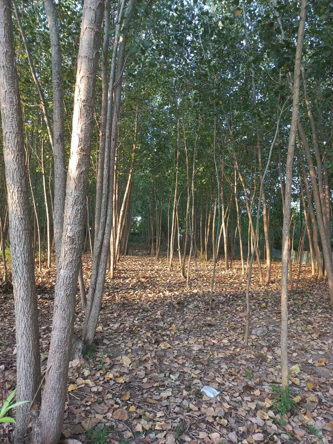 تصویر املاک 101101