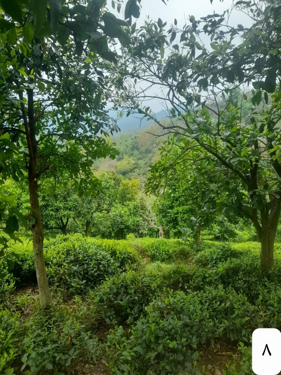 تصویر املاک 72803