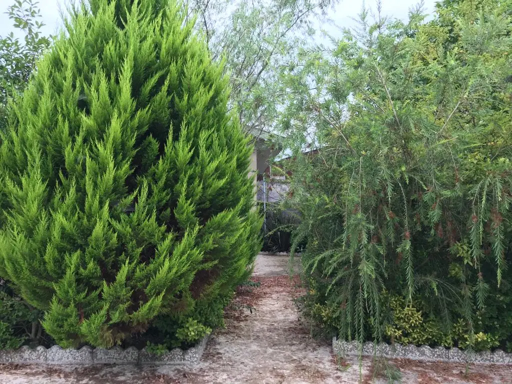 تصویر املاک 134724
