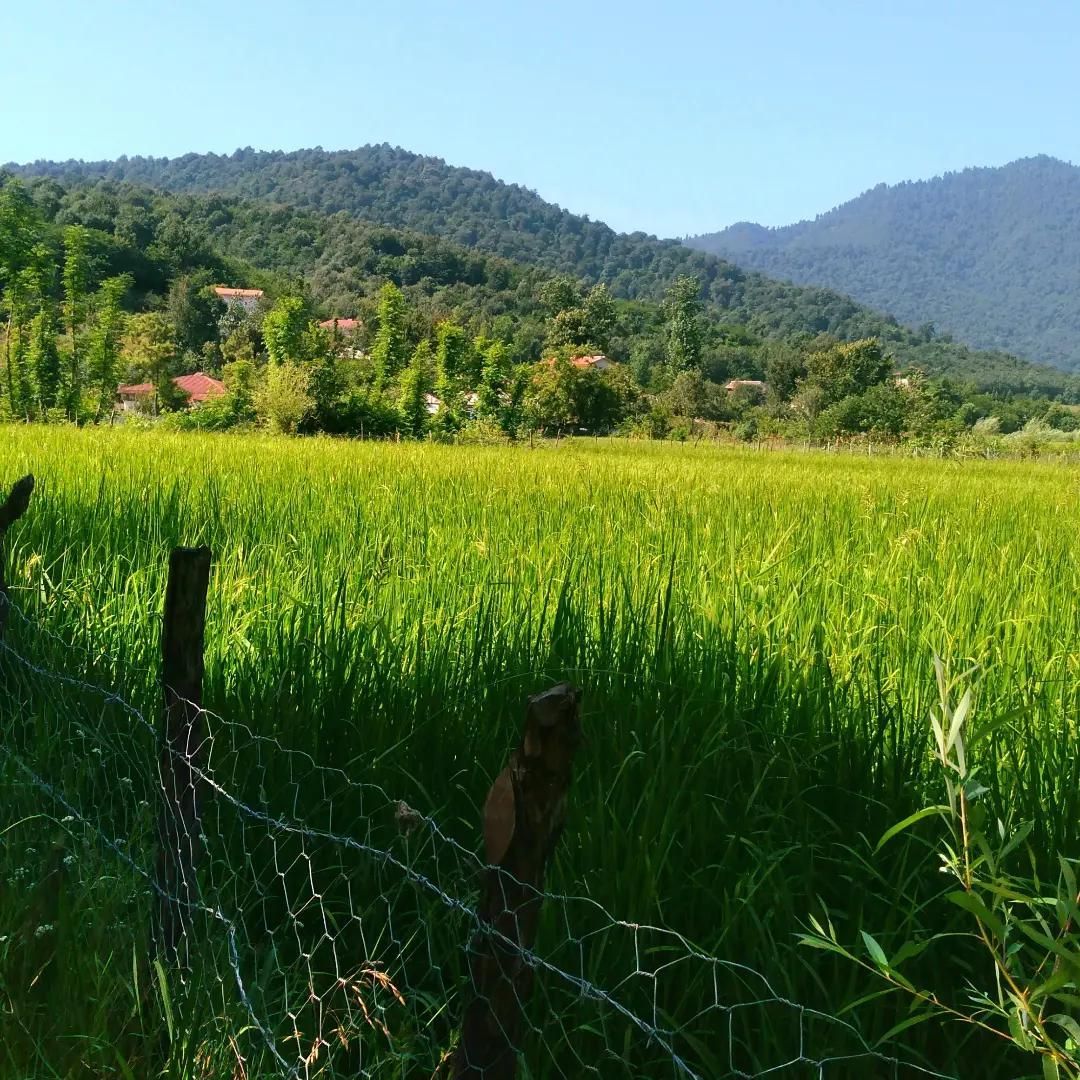 تصویر املاک 104845