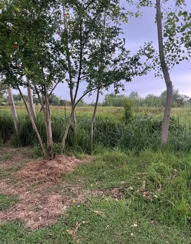 تصویر املاک 100659