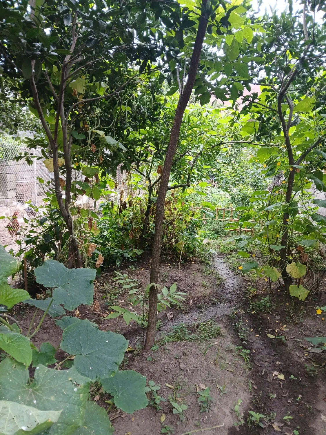 تصویر املاک 129665