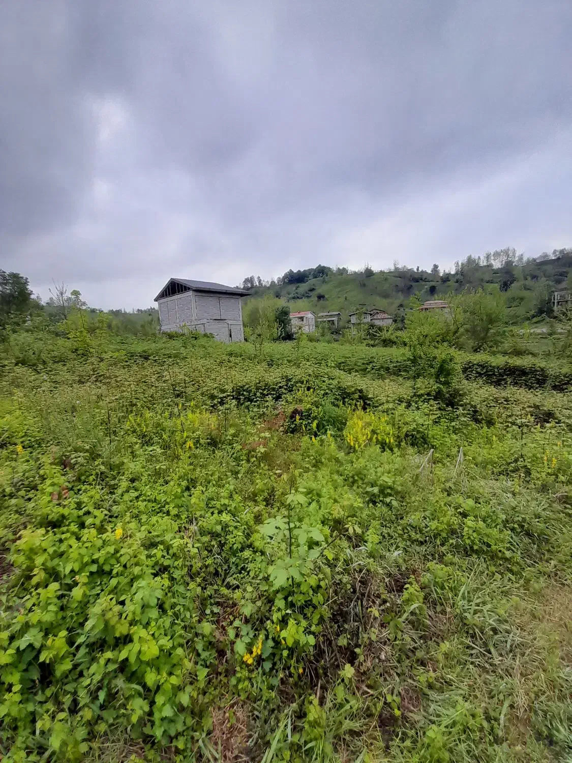 تصویر املاک 38516