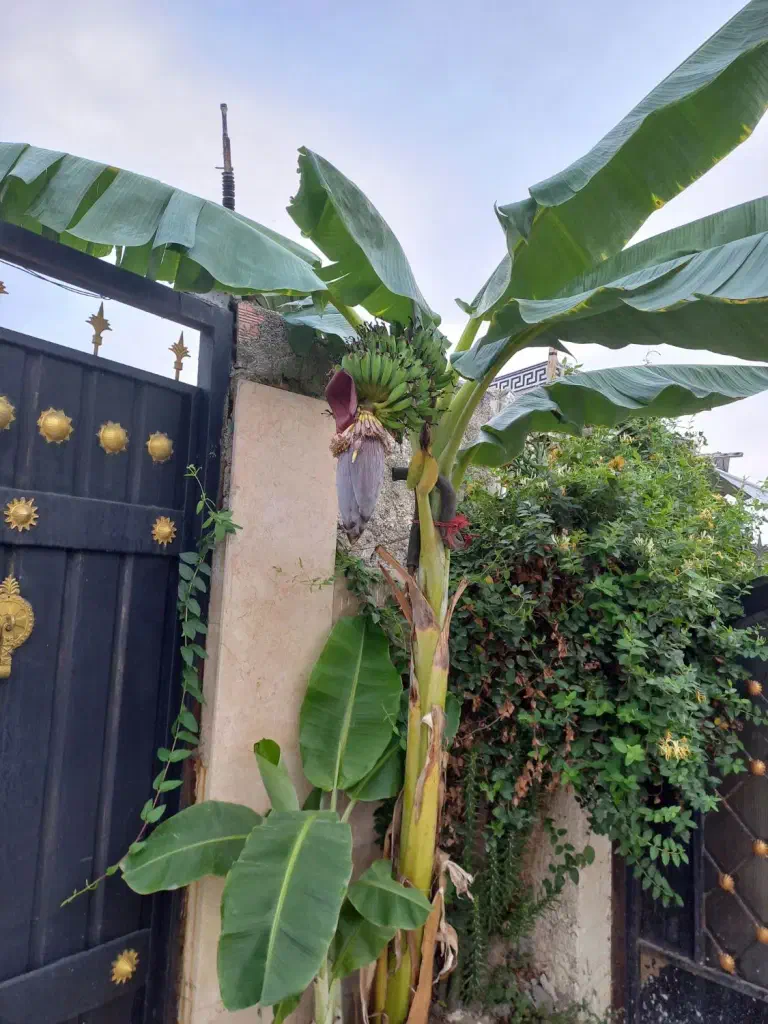 تصویر املاک 138857