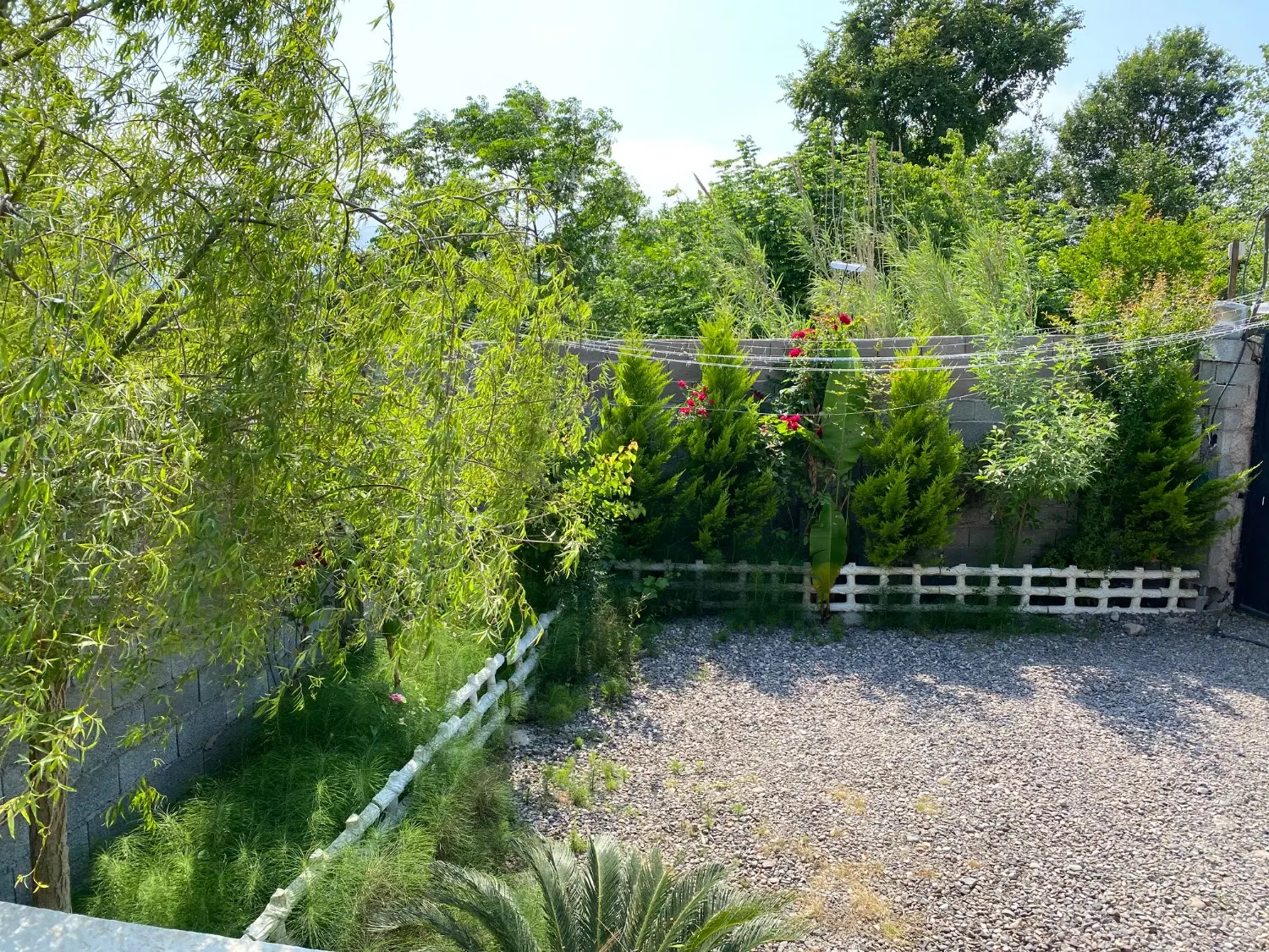 تصویر املاک 62163