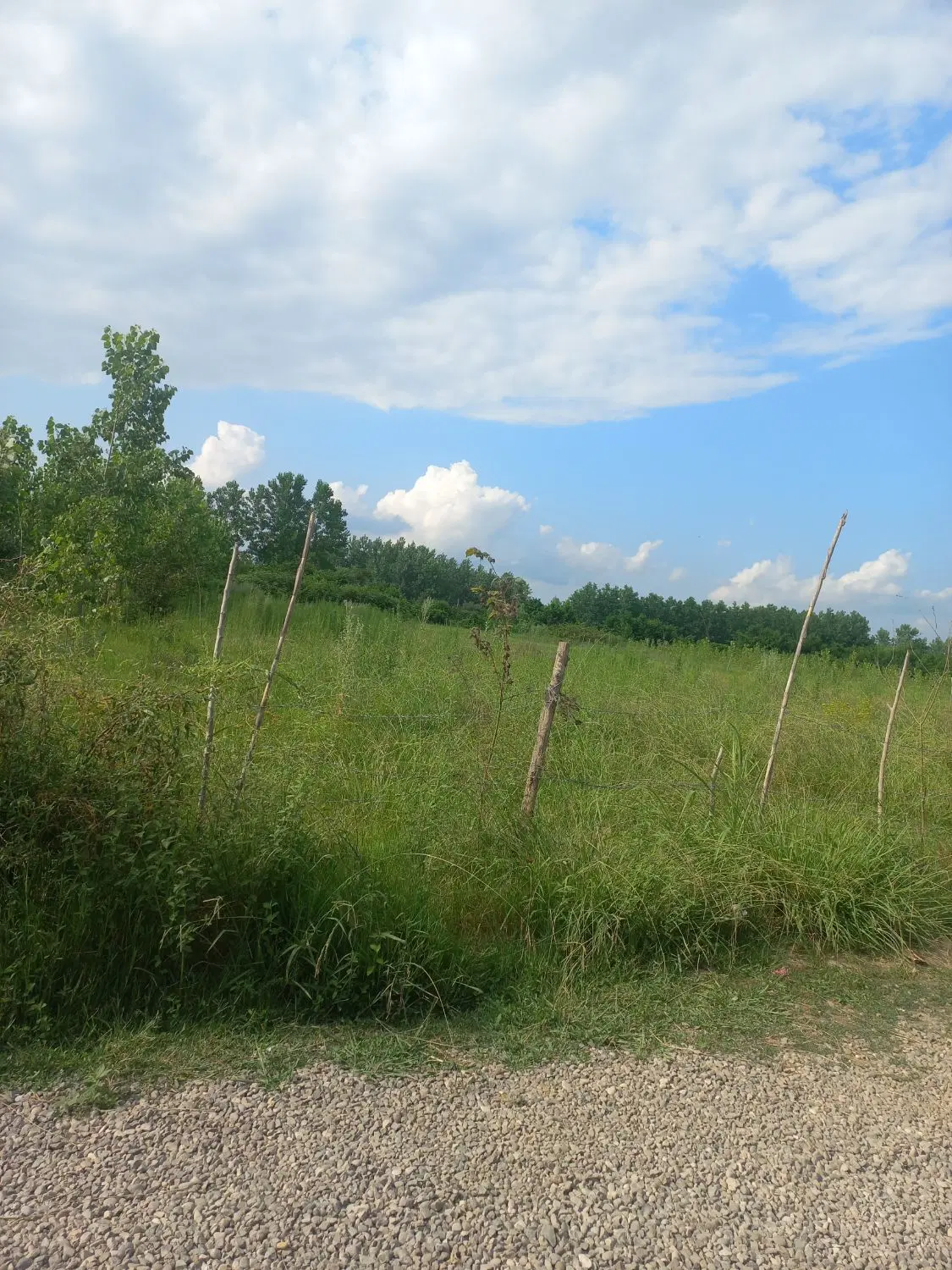 تصویر املاک 62612