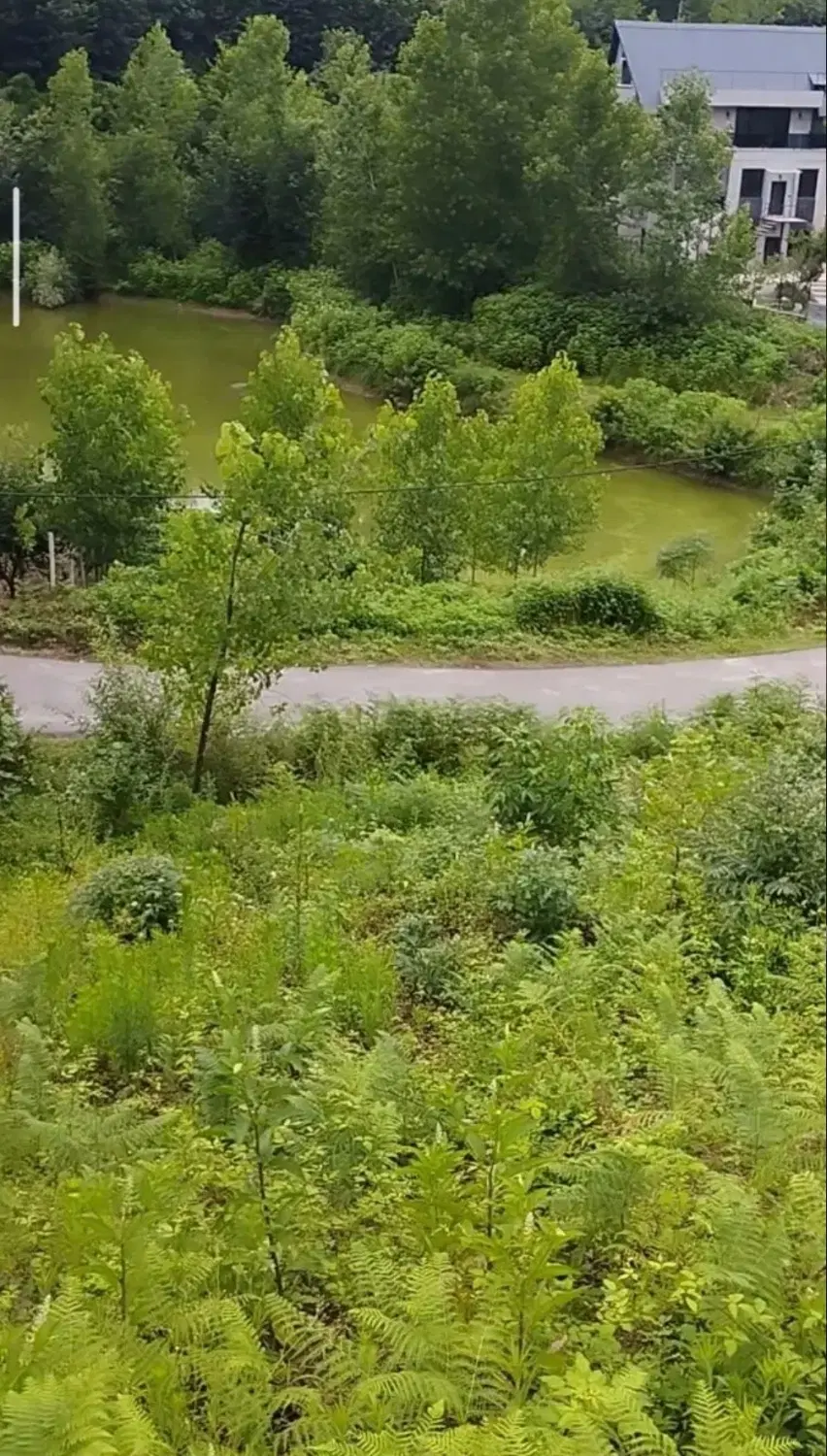 تصویر املاک 105316