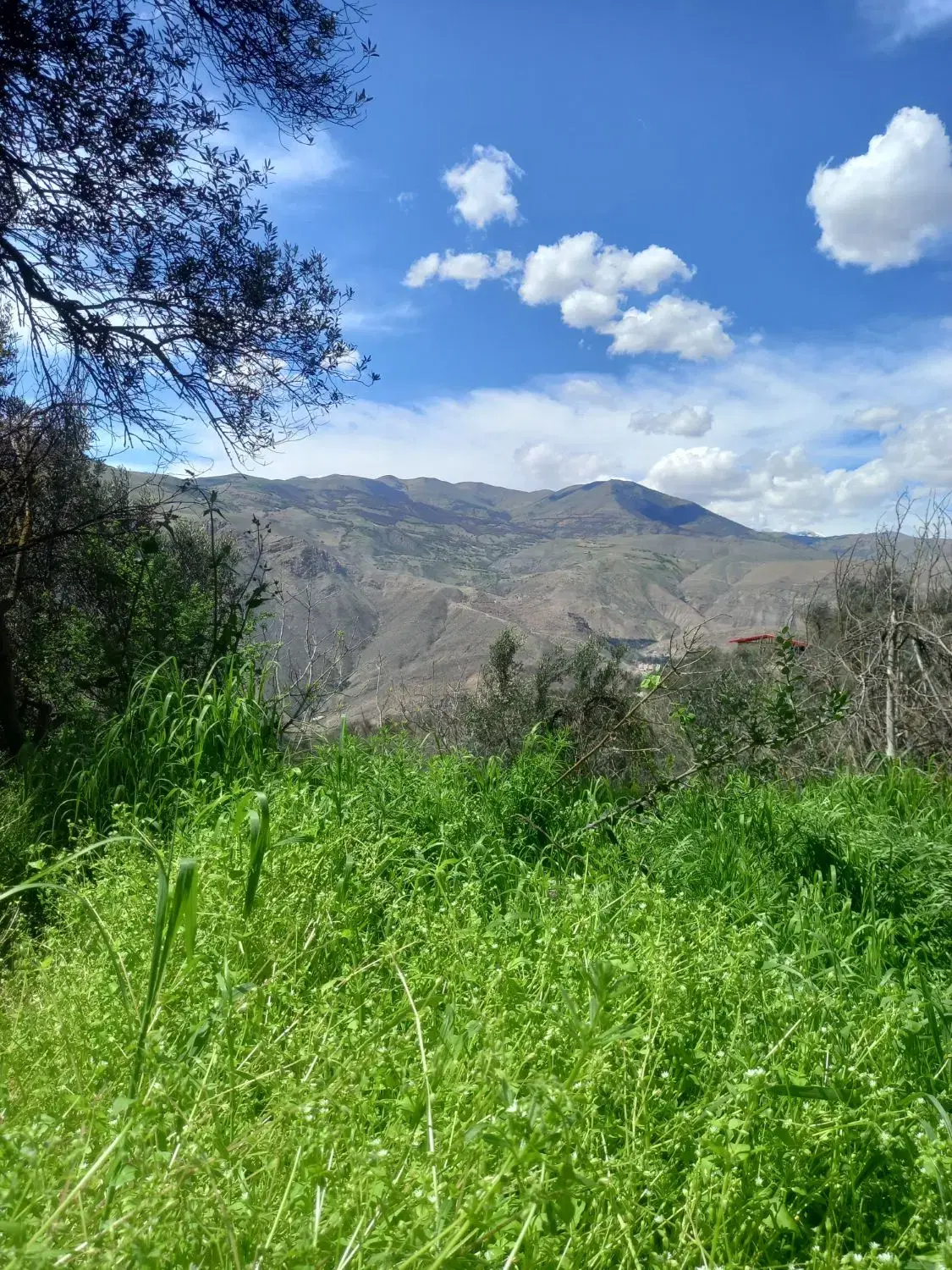 تصویر املاک 44330