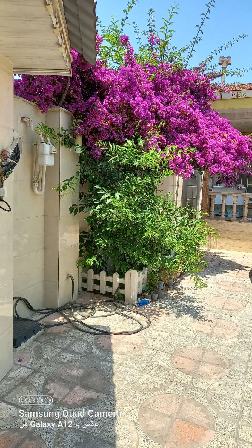 تصویر املاک 97260