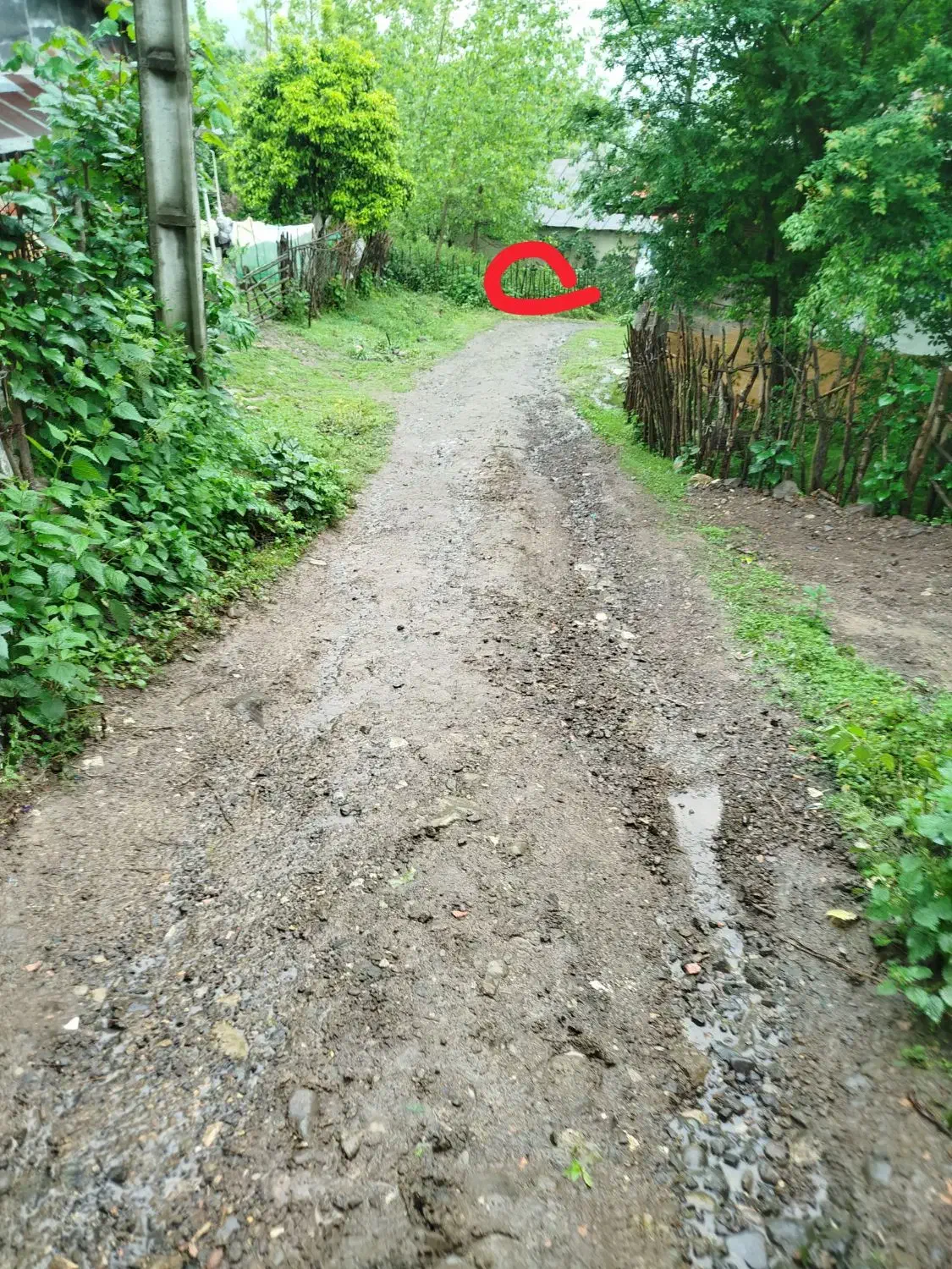 تصویر املاک 39155