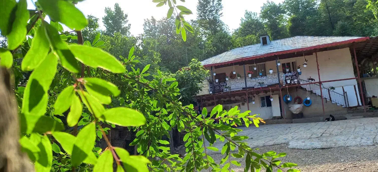 تصویر املاک 98100