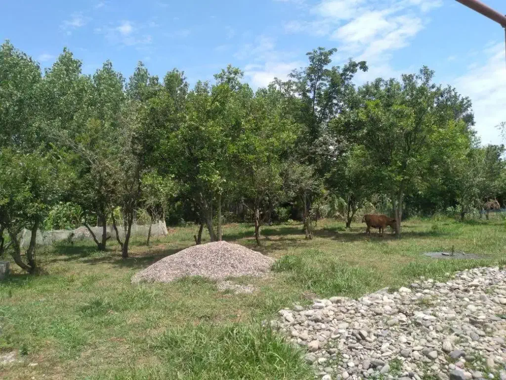 تصویر املاک 138722