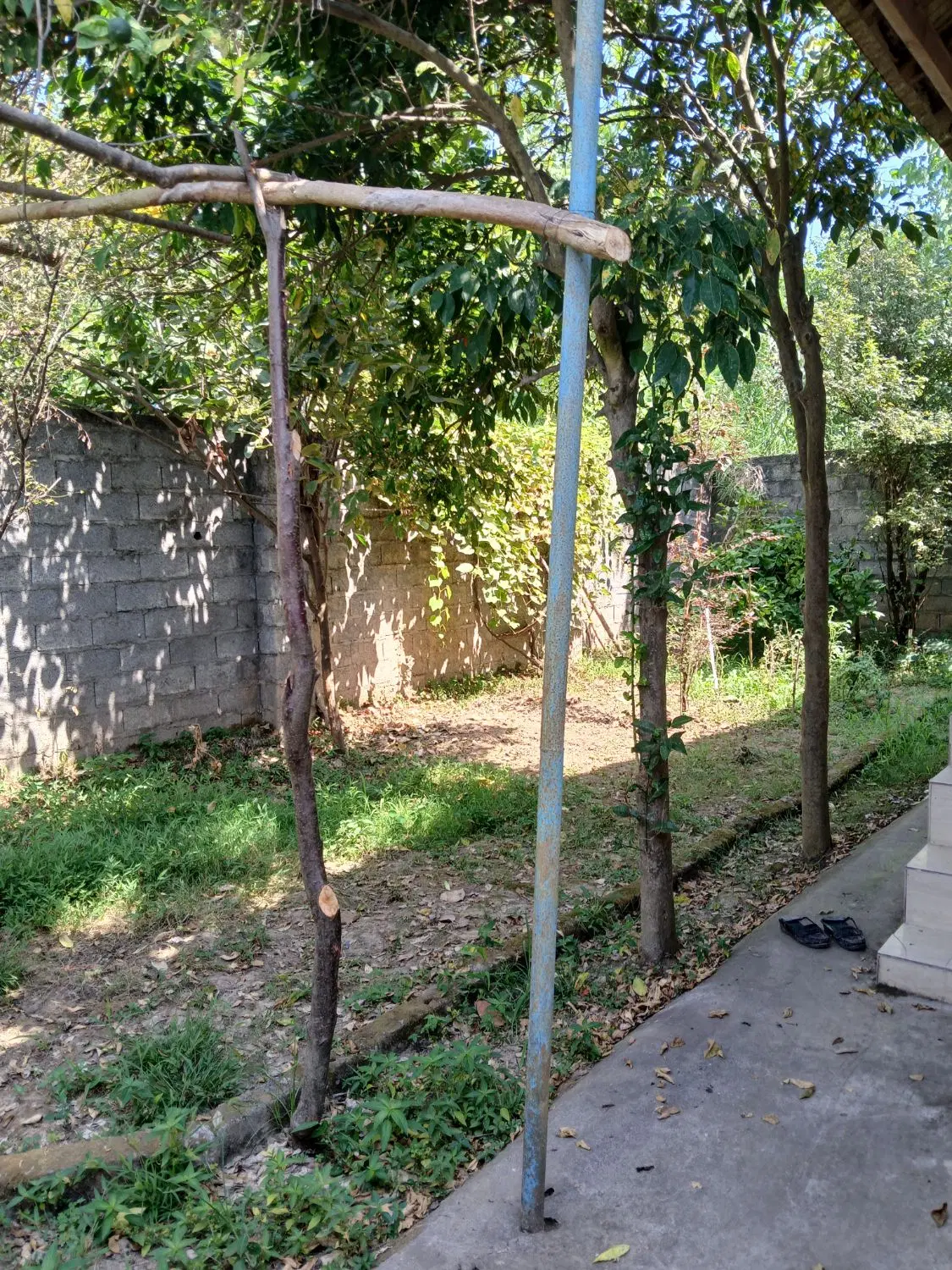 تصویر املاک 95042
