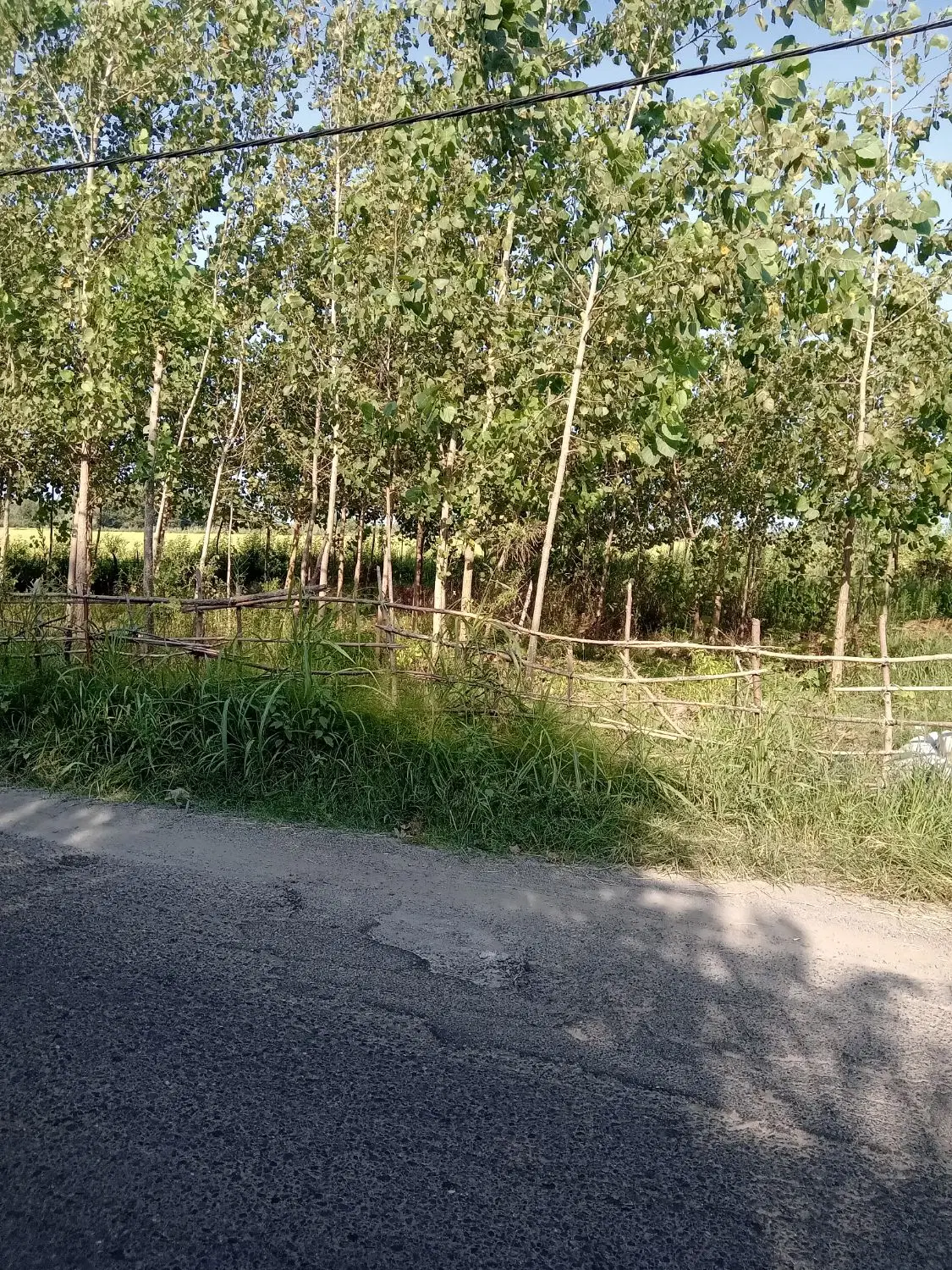 تصویر املاک 98234