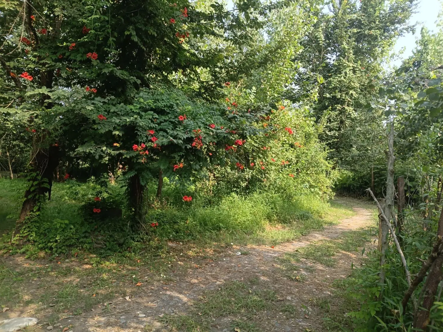 تصویر املاک 131533