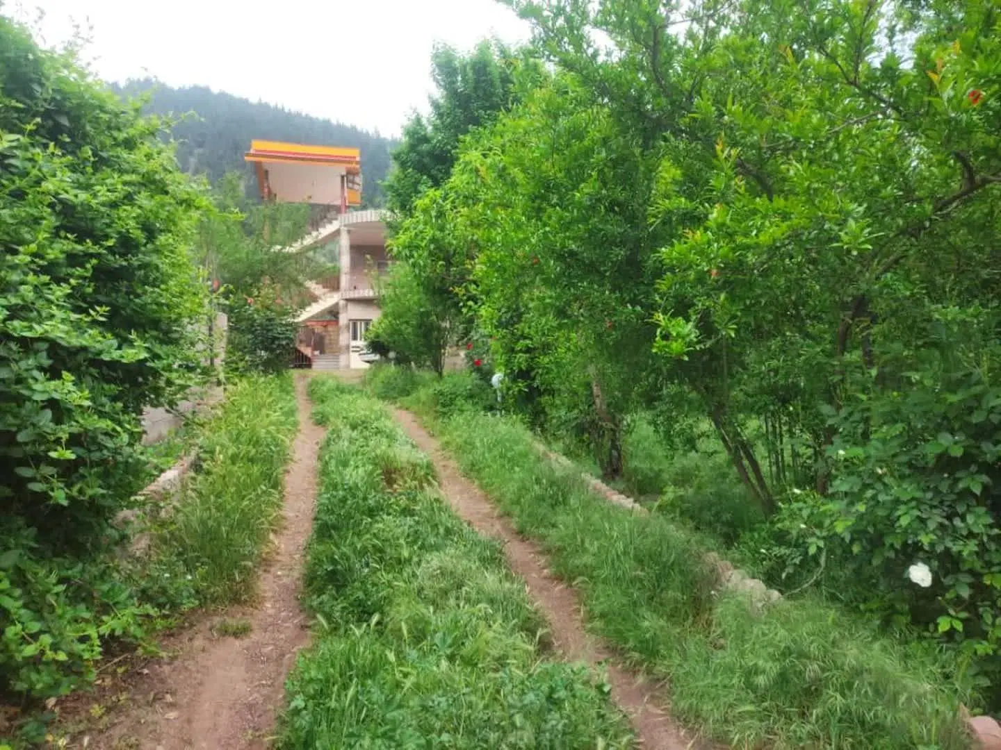 تصویر املاک 70044