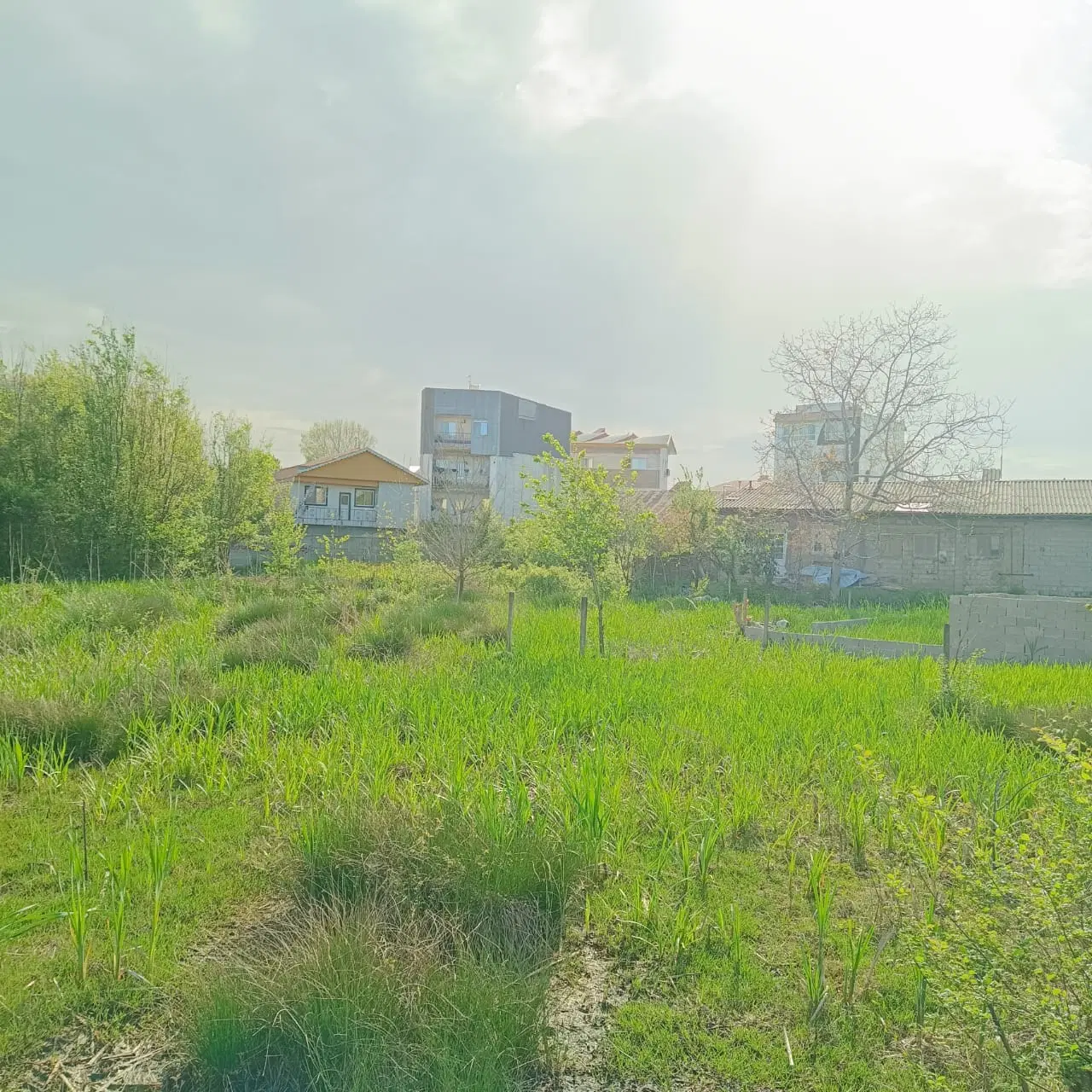 تصویر املاک 115021