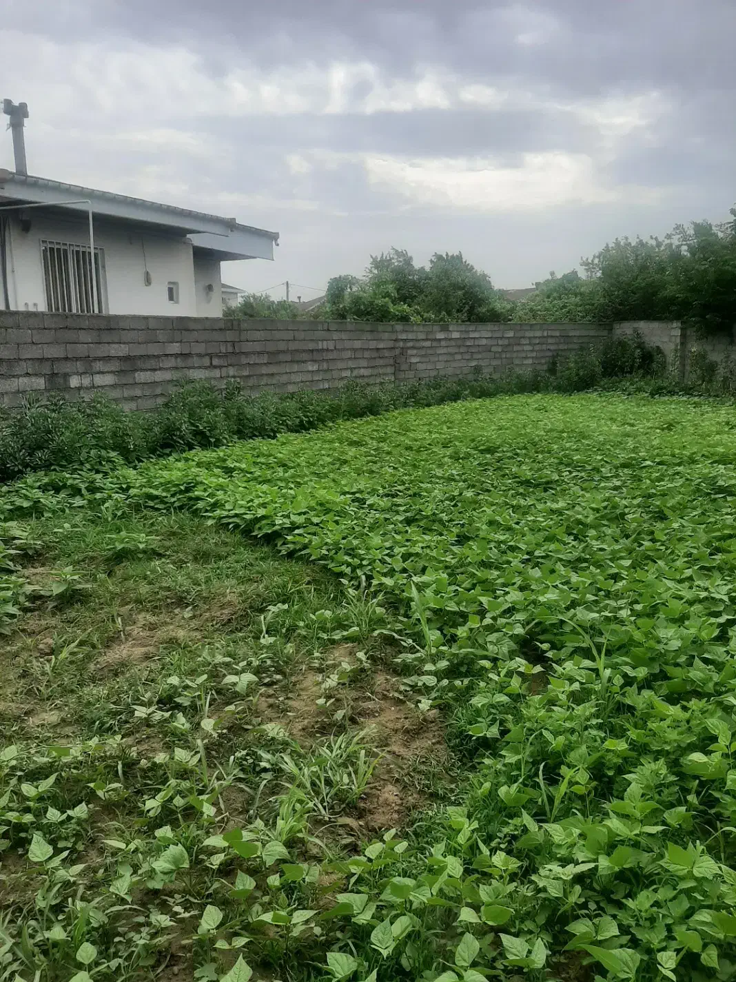 تصویر املاک 40669