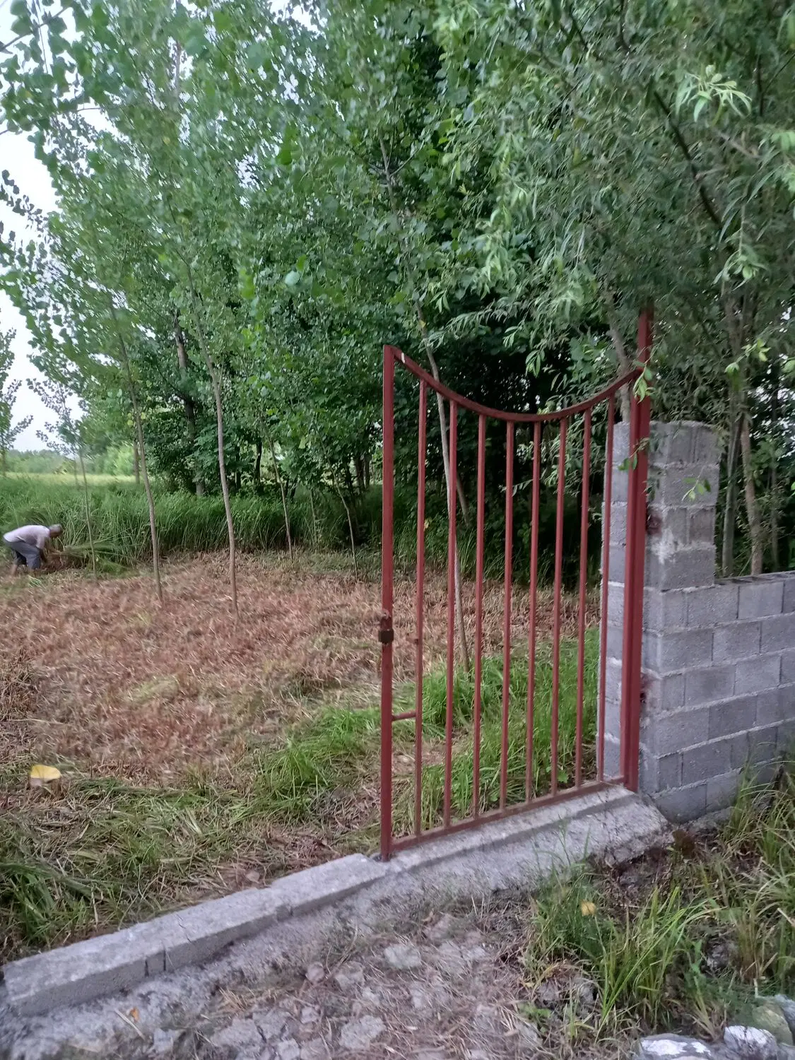 تصویر املاک 108793