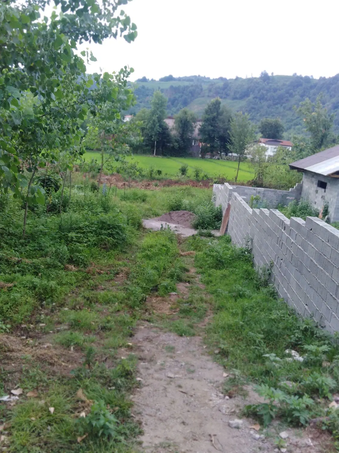 تصویر املاک 105861