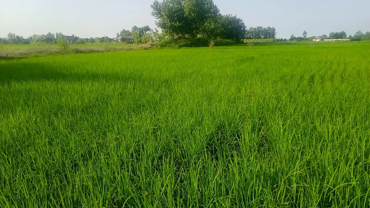 تصویر املاک 90871