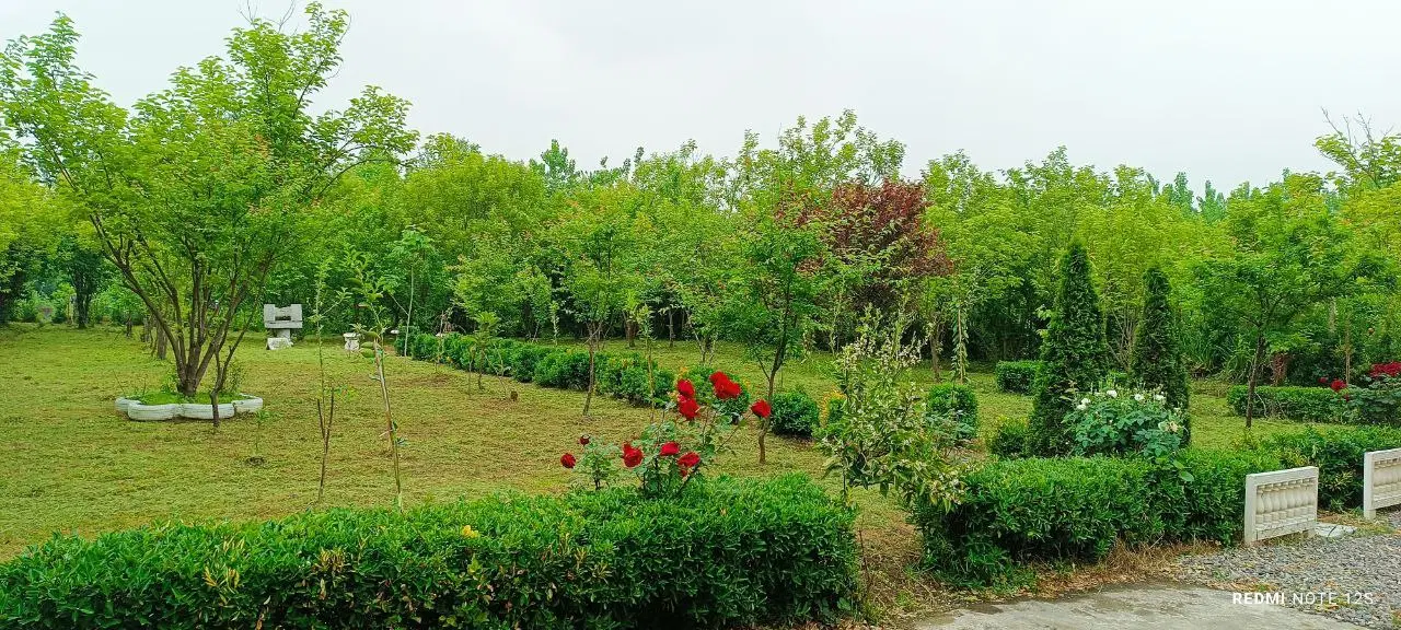 تصویر املاک 95505
