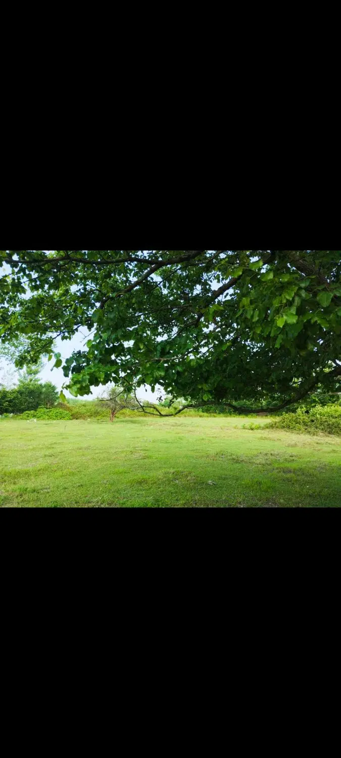 تصویر املاک 71421