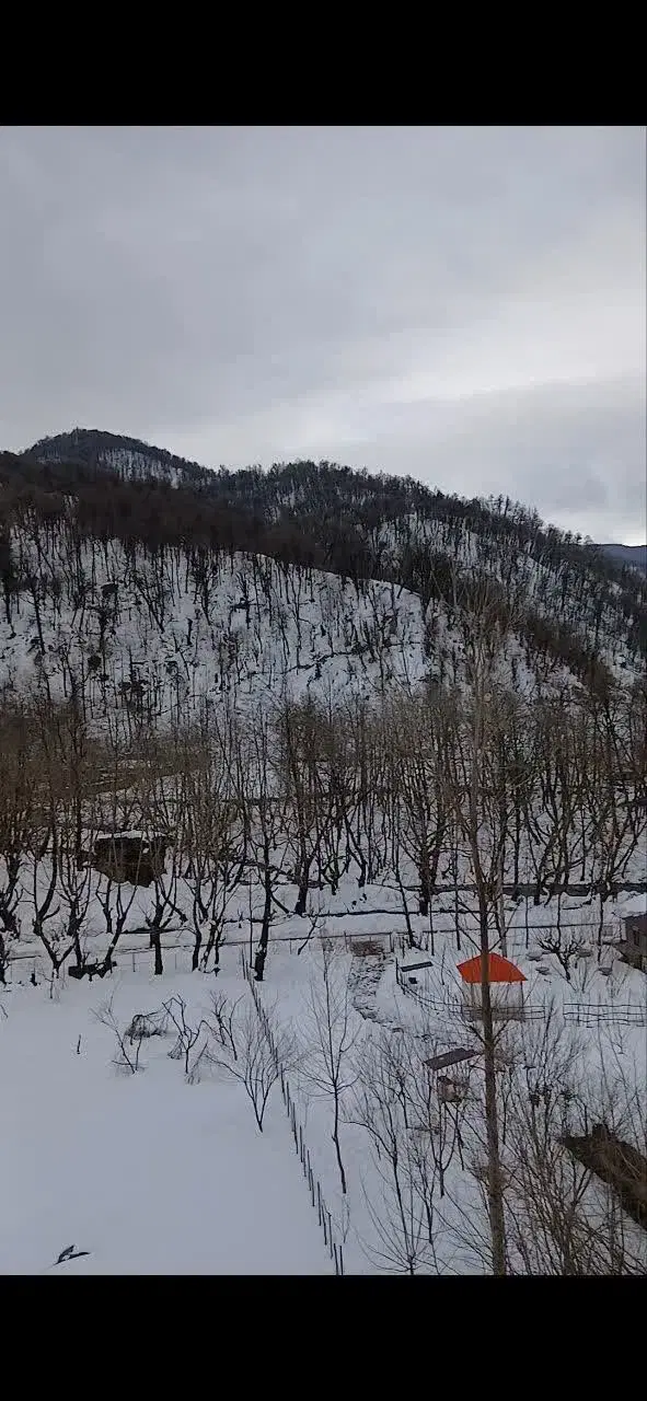 تصویر املاک 107699