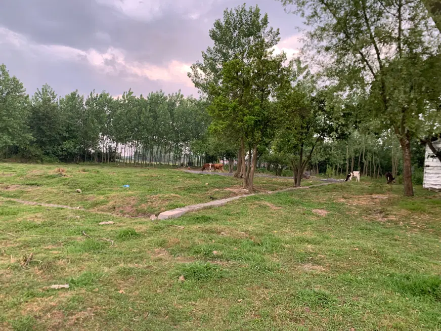 تصویر املاک 131022