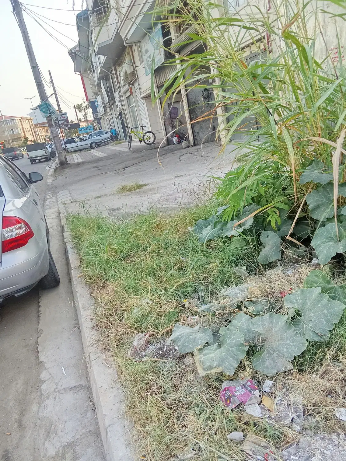 تصویر املاک 100729