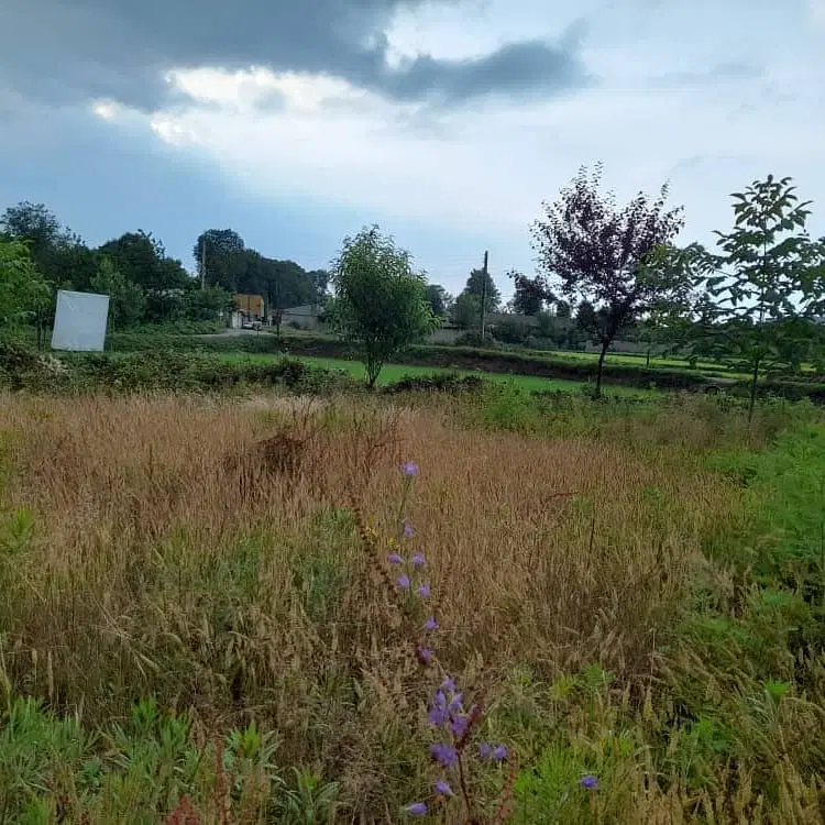 تصویر املاک 105574