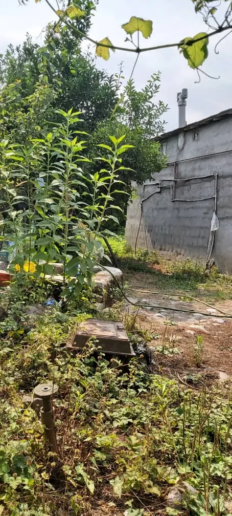 تصویر املاک 113977