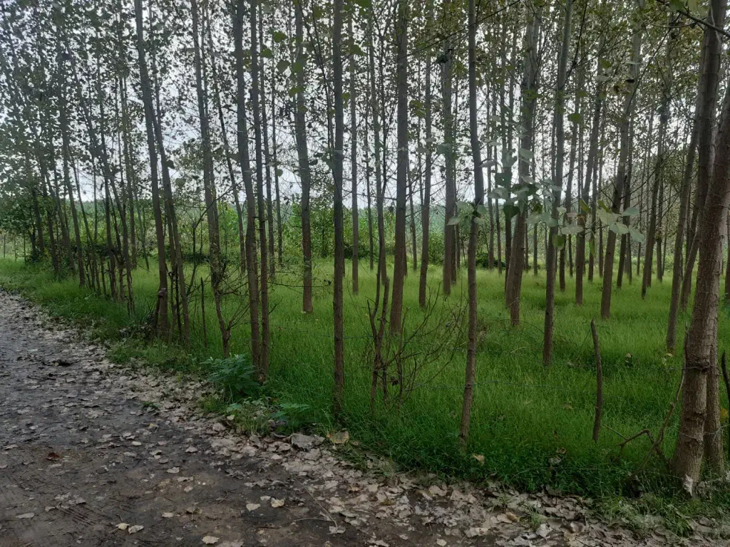تصویر املاک 143030